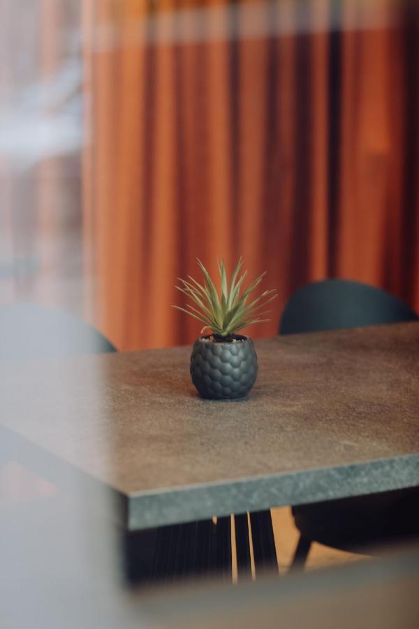 Hotel Prince Albert Gare De Lyon